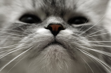 Similar image 1546200