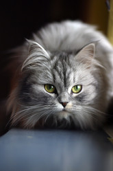 Similar image 1546214