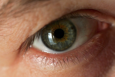 Similar image 1546227