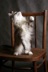 Similar image 1546232