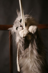 Similar image 1546233