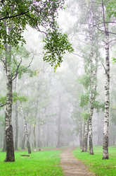 Similar image 1546241