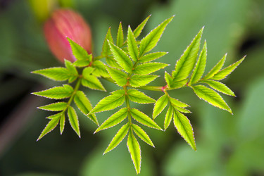 Similar image 1546245