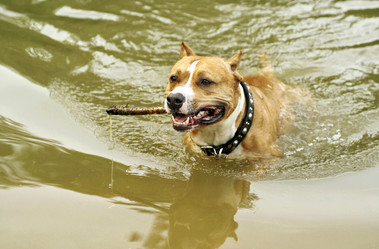 Similar image 1546249