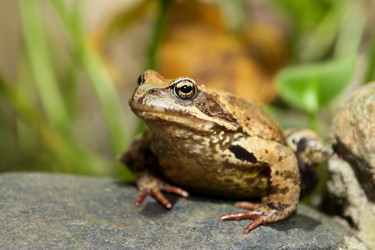 Similar image 1546250