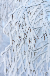 Similar image 1546251