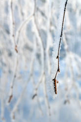 Similar image 1546252