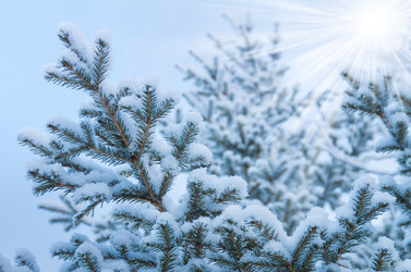 Similar image 1546253