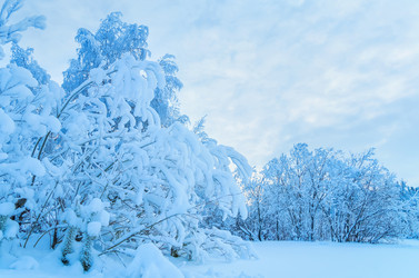 Similar image 1546254