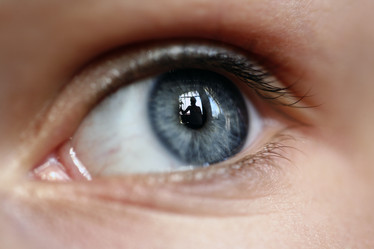 Similar image 1546260