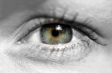 Similar image 1546269