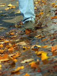 Similar image 1546279