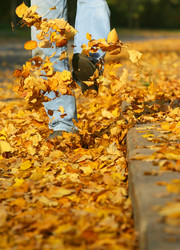 Similar image 1546293