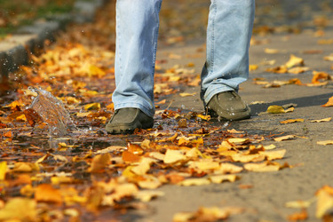 Similar image 1546295