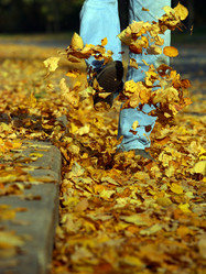 Similar image 1546296