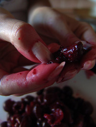 Similar image 1546317