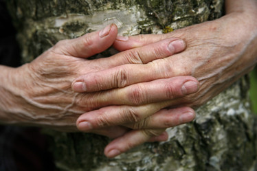 Similar image 1546325