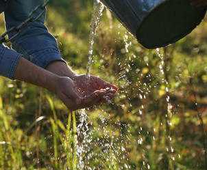 Similar image 1546338