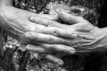 Similar image 1546351