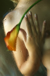 Similar image 1546379