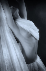 Similar image 1546390