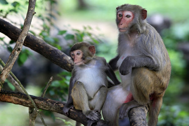 Similar image 1546421