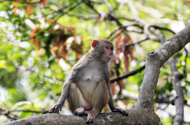 Similar image 1546426