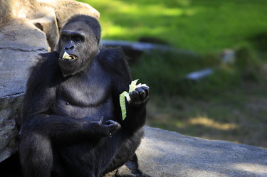 Similar image 1546429