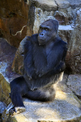 Similar image 1546436