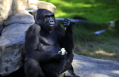 Similar image 1546437