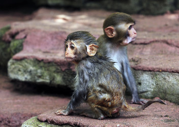 Similar image 1546438