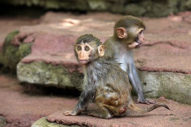 Similar image 1546439