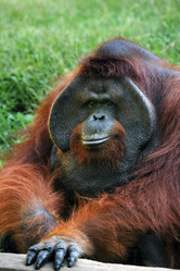 Similar image 1546447