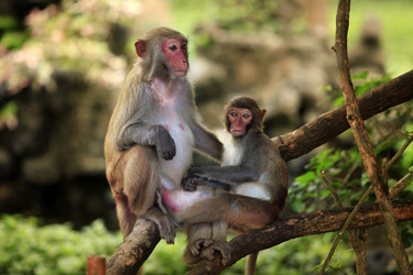 Similar image 1546451