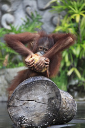 Similar image 1546457