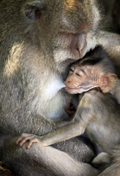 Similar image 1546460