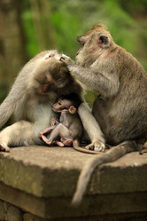 Similar image 1546464