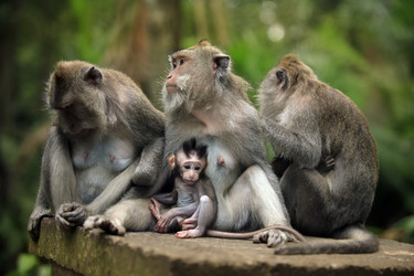 Similar image 1546476