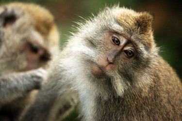 Similar image 1546479