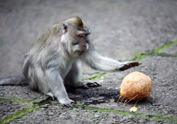 Similar image 1546480