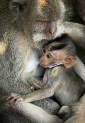 Similar image 1546481