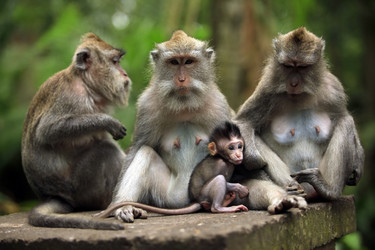 Similar image 1546489