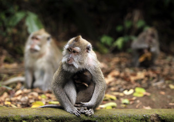 Similar image 1546492