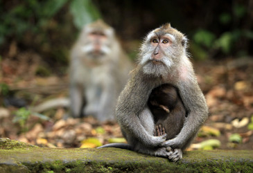 Similar image 1546493