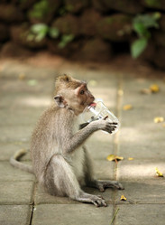 Similar image 1546503