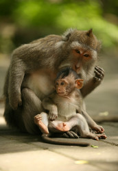 Similar image 1546504