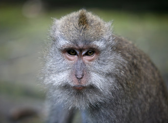 Similar image 1546506