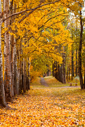 Similar image 1546510