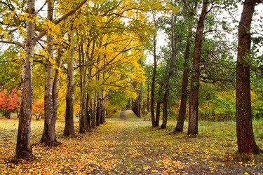 Similar image 1546511