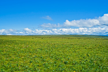 Similar image 1546515